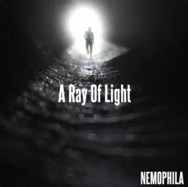 Nemophila : A Ray of Light